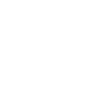 Pushkar Fort